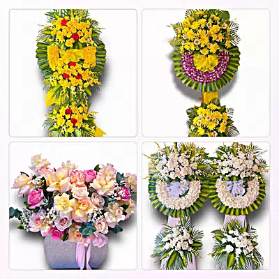 Shop Hoa Tươi Xã Đông Thụy Anh, Hưng Yên - Giao Hoa Tận Nhà