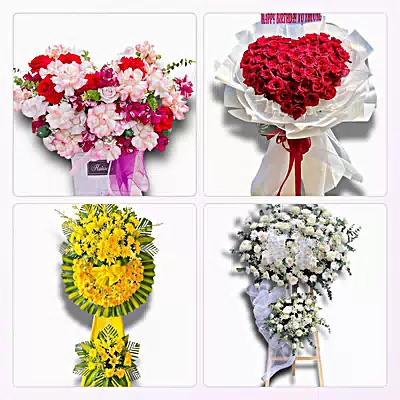 Shop Hoa Tươi Xã Hà Bắc, Hải Phòng - Đặt Hoa Nhanh, Gọi Là Có