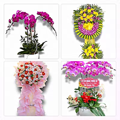 Shop Hoa Tươi Xã Hồ Tràm, TP.HCM