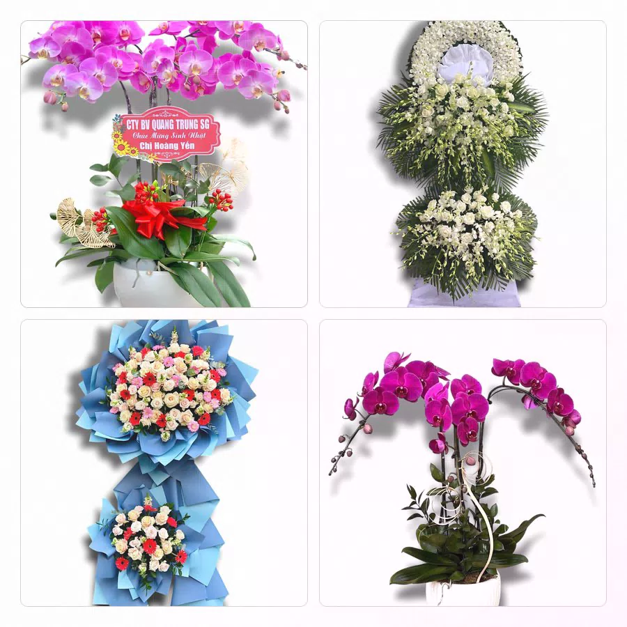 Shop Hoa Tươi Xã Kim Anh, Hà Nội - Hoa Tươi Mỗi Ngày