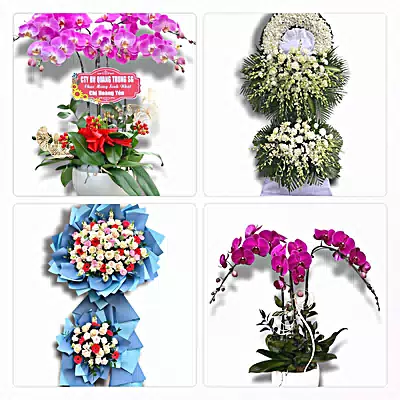 Shop Hoa Tươi Xã Kim Anh, Hà Nội - Hoa Tươi Mỗi Ngày