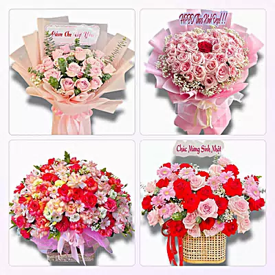 Shop Hoa Tươi Xã Minh Thái, Ninh Bình - Hoa Tươi Mỗi Ngày