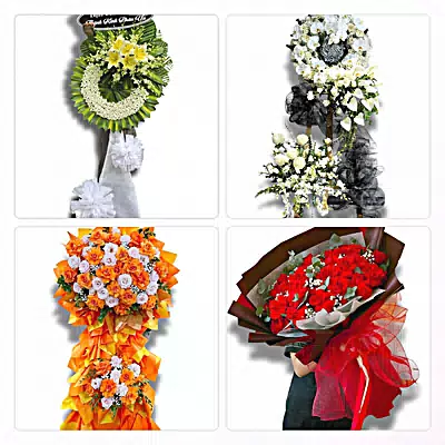 Shop Hoa Tươi Xã Mỹ Yên, Tây Ninh - Giao Hoa Tận Nhà