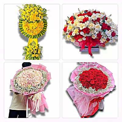 Shop Hoa Tươi Xã Nam Cường, Hưng Yên - Sinh Nhật – Khai Trương – Chia Buồn