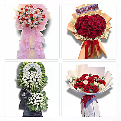 Shop Hoa Tươi Xã Nam Ninh, Ninh Bình - Nhận Đặt Mọi Dịp
