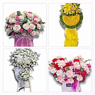 Shop Hoa Tươi Xã Phong Doanh, Ninh Bình - Giao Hoa Tận Nhà