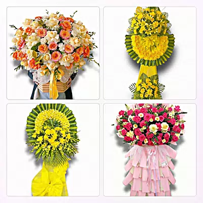 Shop Hoa Tươi Xã Phú Hựu, Đồng Tháp - Hoa Tươi Mỗi Ngày