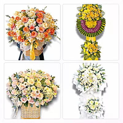 Shop Hoa Tươi Xã Tân Dương, Đồng Tháp - Giao Tận Nơi