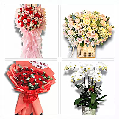 Shop Hoa Tươi Xã Thọ Phú, Thanh Hóa - Giao Hoa Tận Nhà