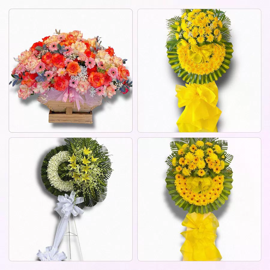 Shop Hoa Tươi Xã Trung Hưng, Cần Thơ - Sinh Nhật – Khai Trương – Chia Buồn