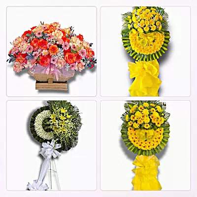 Shop Hoa Tươi Xã Trung Hưng, Cần Thơ - Sinh Nhật – Khai Trương – Chia Buồn