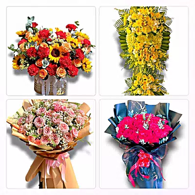 Shop Hoa Tươi Xã Vĩnh Bảo, Hải Phòng - Nhận Đặt Mọi Dịp