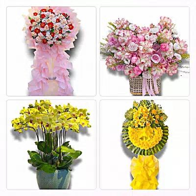 Tiệm Hoa Tươi Phường Hoài Nhơn Đông, Gia Lai - Giao Hoa Tận Nhà