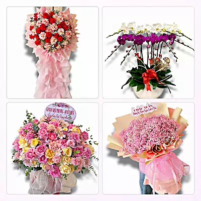 Tiệm Hoa Tươi Phường Hồng Ngự, Đồng Tháp - Giao Hoa Tận Nhà