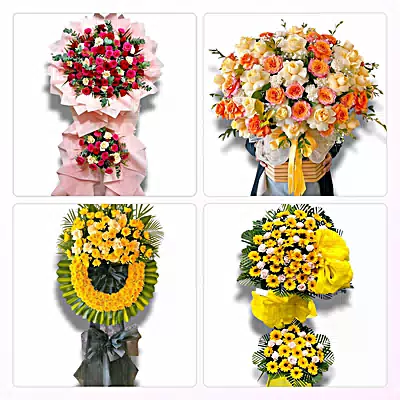 Tiệm Hoa Tươi Phường Mạo Khê, Quảng Ninh - Giao Hoa Tận Nhà