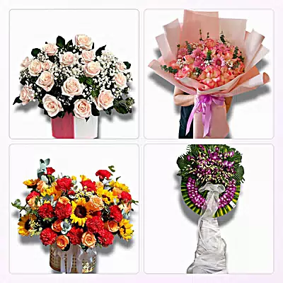 Tiệm Hoa Tươi Phường Mỹ Phước Tây, Đồng Tháp - Sinh Nhật – Khai Trương – Chia Buồn