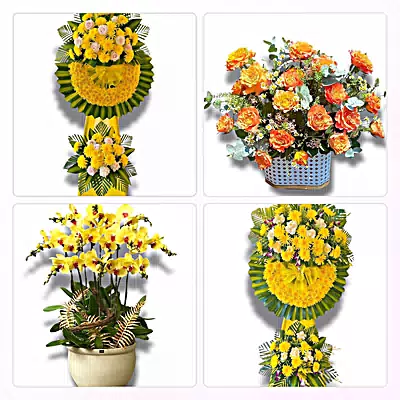 Tiệm Hoa Tươi Phường Ninh Kiều, Cần Thơ - Sinh Nhật – Khai Trương – Chia Buồn
