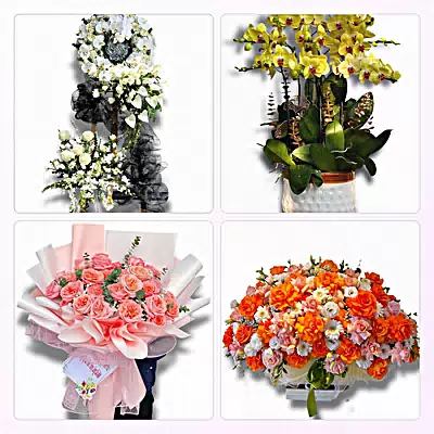 Tiệm Hoa Tươi Phường Ô Môn, Cần Thơ - Đặt Hoa Nhanh, Gọi Là Có