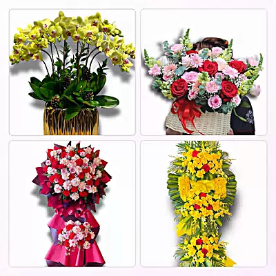 Tiệm Hoa Tươi Phường Tam Hiệp, Đồng Nai