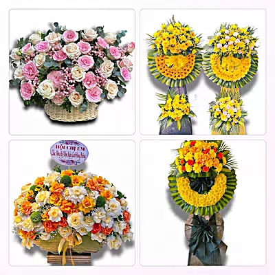 Tiệm Hoa Tươi Phường Thành Sen - Hoa Tươi Mỗi Ngày