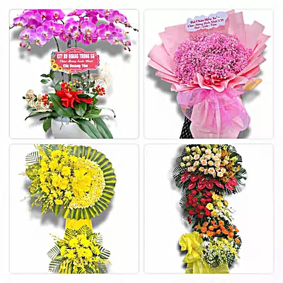 Tiệm Hoa Tươi Phường Thiên Trường, Ninh Bình - Đặt Hoa Nhanh, Gọi Là Có
