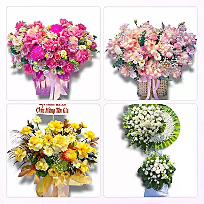 Tiệm Hoa Tươi Phường Tùng Thiện, Hà Nội - Giao Tận Nơi
