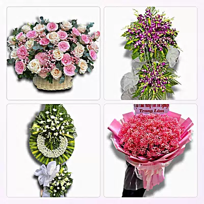Tiệm Hoa Tươi Xã Bình An, An Giang - Sinh Nhật – Khai Trương – Chia Buồn