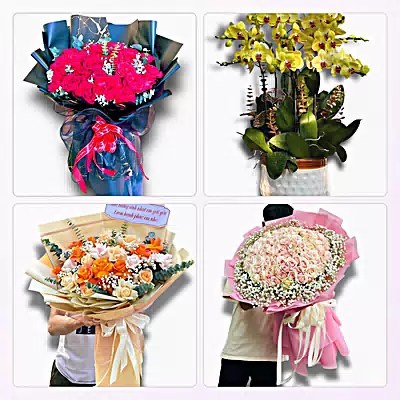 Tiệm Hoa Tươi Xã Đại Sơn, Hải Phòng - Giao Tận Nơi