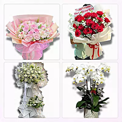 Tiệm Hoa Tươi Xã Mao Điền, Hải Phòng - Nhận Đặt Mọi Dịp