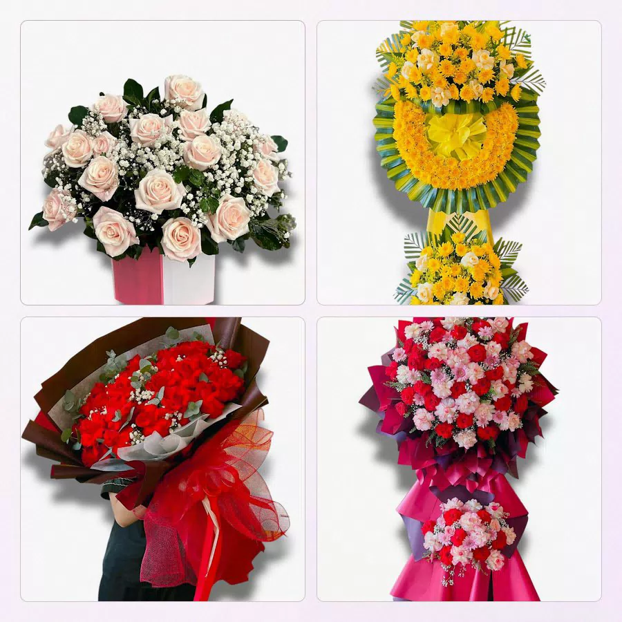 Tiệm Hoa Tươi Xã Mỏ Cày, Vĩnh Long - Hoa Tươi Mỗi Ngày