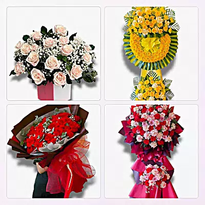 Tiệm Hoa Tươi Xã Mỏ Cày, Vĩnh Long - Hoa Tươi Mỗi Ngày
