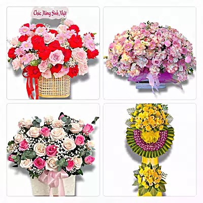 Tiệm Hoa Tươi Xã Phước Thái, Đồng Nai - Sinh Nhật – Khai Trương – Chia Buồn