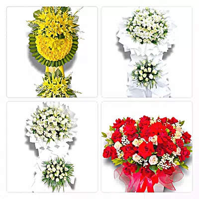 Tiệm Hoa Tươi Xã Vạn Xuân, Hưng Yên