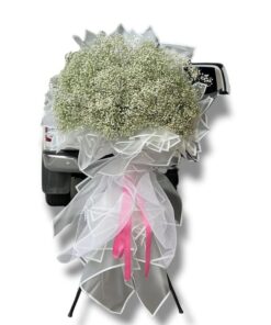 Kệ hoa khai trương BaBy lớn 1 Dathoatuoi.com