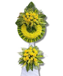 Z3383585677842_a82e0ff18a55b3ed5458757dff09f815