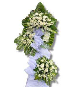 Z3383585684398_ca5b5f86525822bbd8624e0b9c079975