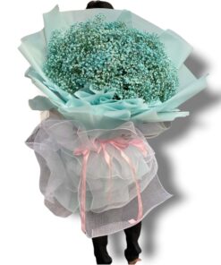 Z3386218282168_c248ca35b84fbd6464d494758393d08d