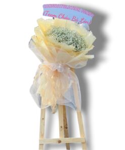 Z3386438549481_d616ca482a4a5fc5e1e9d97f948aec17