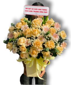 Z3387479163349_8b7fcae5dc56f72cd2aaaba38576f834