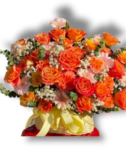 Z3387479190023_14e4da56ae4dcf2dbc042838529d8c50