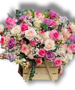 Z3387479293461_b8d5a8ac5d12d23fc8b6068f9d4d0ef7