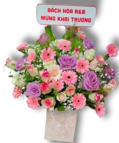 Z3387479454594_6389cd815fda6fa20a4494bb15dafc8c